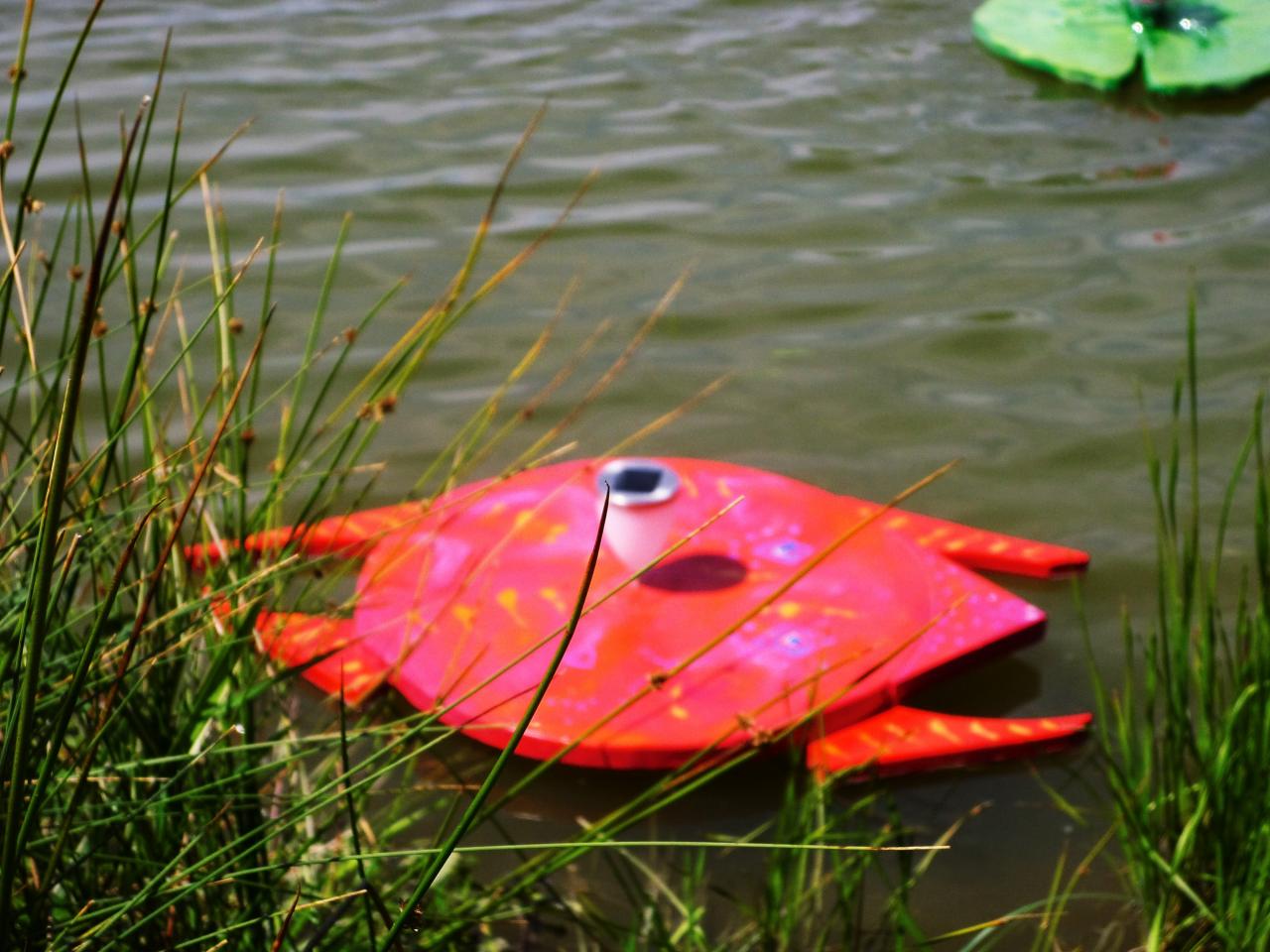 Petit poisson rouge en forme de crabe