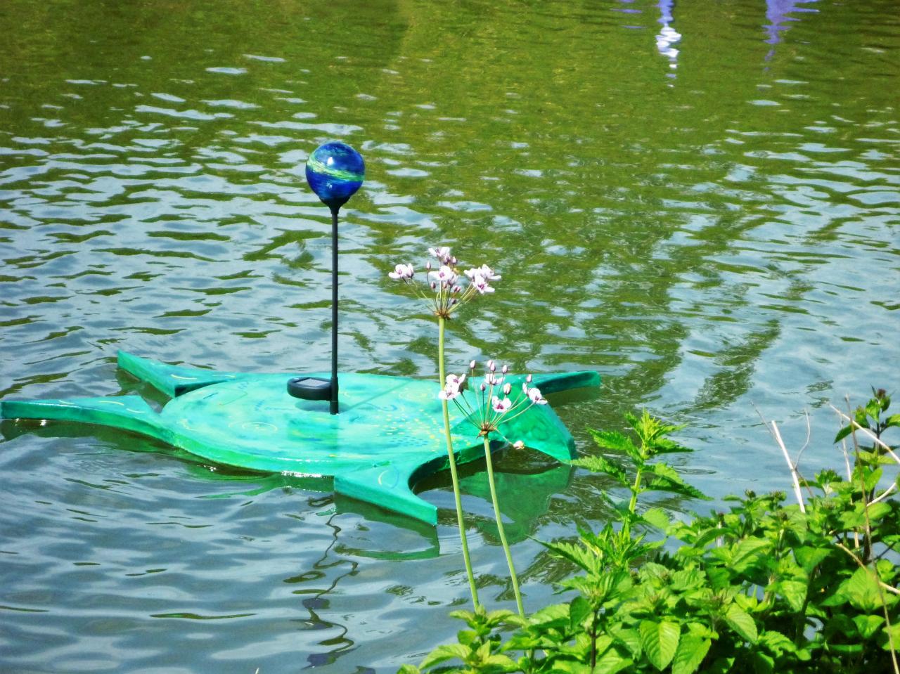 Petite grenouille verte en extension