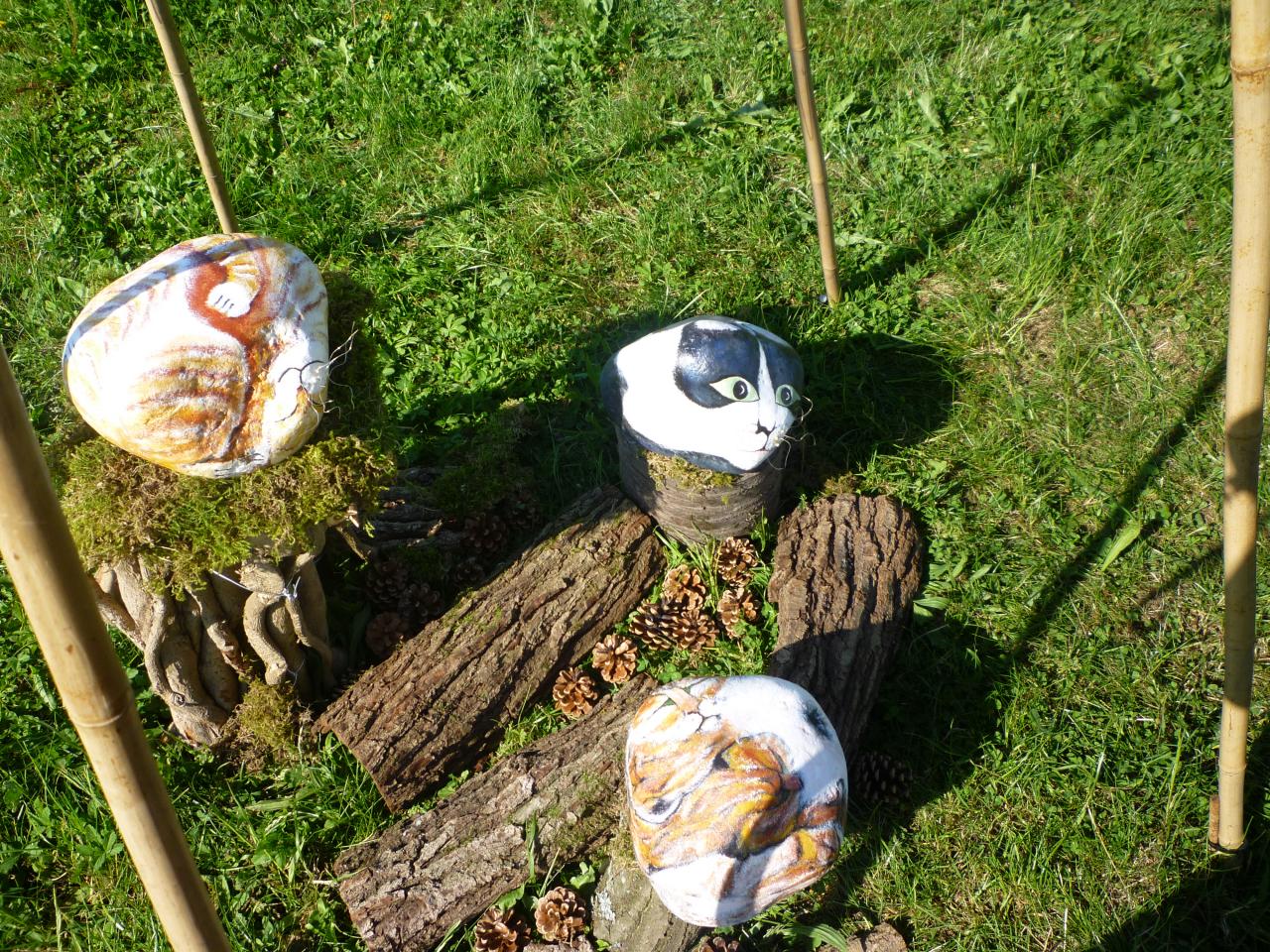 3 galets chats sur rondins de bois dans leur tipi